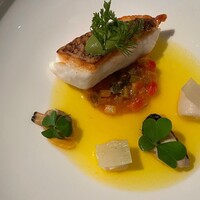 オチェーアノ - 