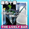 THE LIVELY BAR - 