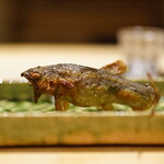 料理屋 植むら - 長野県天竜鮎の塩焼き