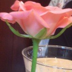 スタルカ - そしてテーブルには薔薇が一輪