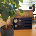 MAGNET coffee roaster - 