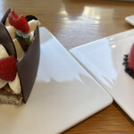 bubó BARCELONA 表参道店 - 