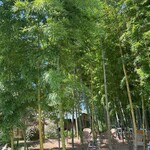 竹林カフェ 風 - 