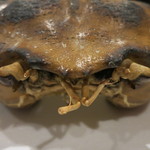 うぶか - 25年9月　オオエンコウガニ　アップ