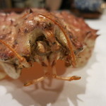 うぶか - 25年9月　イバラ蟹　アップ