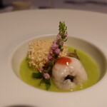 ツキ シュール ラメール - 