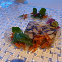 ツキ シュール ラメール - 