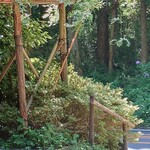 甘酒茶屋 - 氷の旗がはためいて爽やか