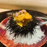 新日本料理おぶね - 北海道松前町のウニ鮨