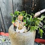 新日本料理おぶね - 