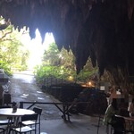 Cave Cafe - 