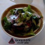 カフェ＆レストラン ヒルトップ - サラダ