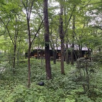 ブレストンコート ユカワタン - 