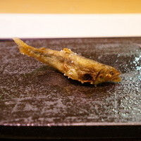 鮨　臥龍 - 