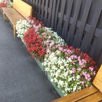 うなぎ亭 友栄 - うなぎ亭 友栄