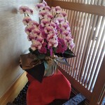 うなぎ亭 友栄 - うなぎ亭 友栄