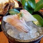 魚料理 ろっこん - お刺身