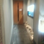 入口まで。右手に水槽。