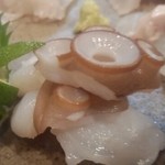 旬魚処 海蔵 - 蛸。