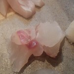 旬魚処 海蔵 - ほうぼう。