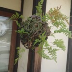 手打ち蕎麦 かね井 - 