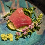 きたん 韻 - 熟成マグロ