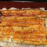 割烹 蒲焼 大沼 - うな重（中）