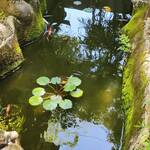 バンブーコーヒー - 