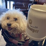 キッツビュール - 