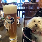 キッツビュール - 