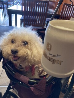 キッツビュール - 