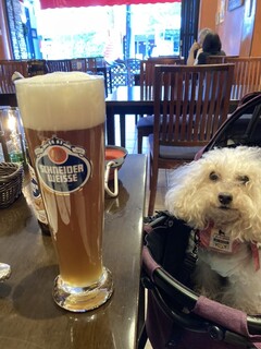 キッツビュール - 