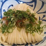 Udon Koubou Tenkuu - 