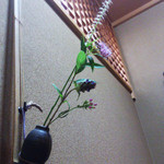 和楽 - 各テーブルに一輪挿し