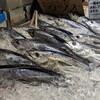 JAファーマーズマーケット とさのさと