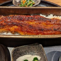 うなぎ四代目菊川 ミッドランドスクエア 名古屋本店 - 