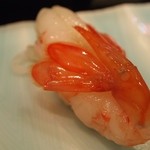 帆掛鮨 - ボタン海老（2013年8月）