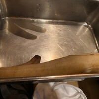 六角堂 - 白ミル貝