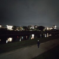 先斗町 四季 よし菜 - 