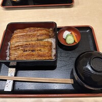 うなぎ割烹 白金台 まつ本 - 