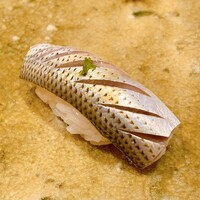 赤坂 鮨 ふくなが - 