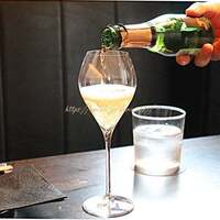 PONGA PREMIUM - 