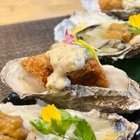 四ツ橋・新町 牡蠣と肉たらしビストロAKIRA - 