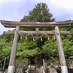手打ち蕎麦うちぼり - その他写真:戸隠神社・中社の大鳥居