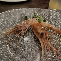 TOOTH TOOTH TOKYO - 