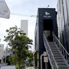 DAILY DOSE coffee shop - 