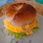 BAGEL 8744 - 