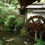 うかい竹亭 - 【2013.9】