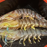 美々卯 本町店 - 