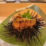 鮨 赤酢 かなやま - 笹の葉に隠れた ウニ焼きと カニとカニ味噌と だしのジュレが中に入る